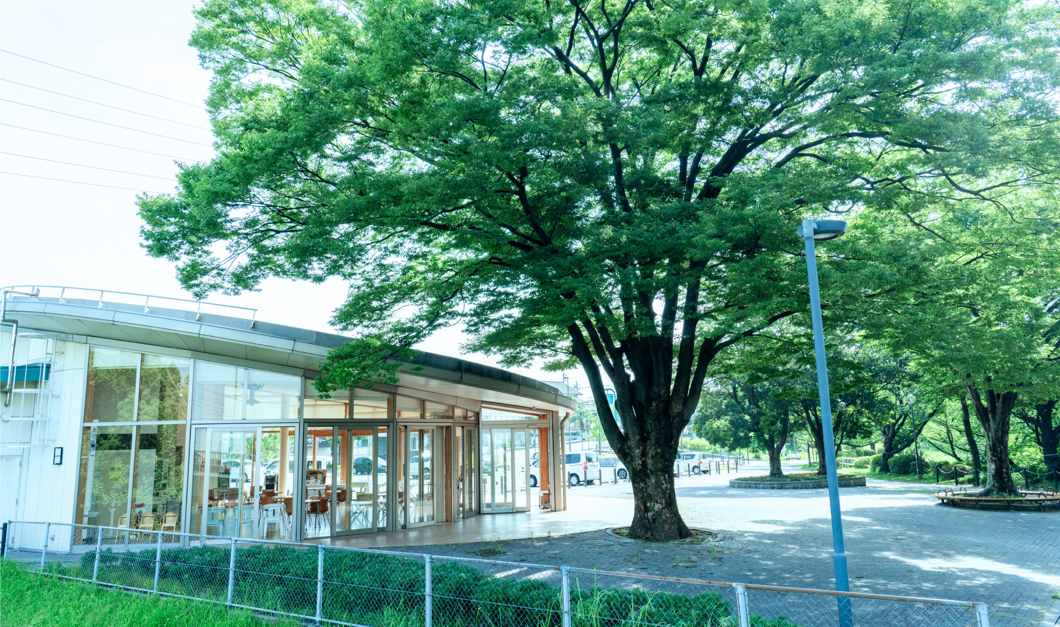 聚楽園公園～大池公園の緑道 徒歩14〜17分（約1,060〜1,310m）
