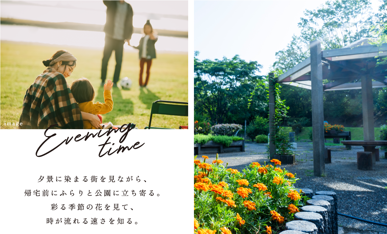 Evening time 夕景に染まる街を見ながら、帰宅前にふらりと公園に立ち寄る。彩る季節の花を見て、時が流れる速さを知る。