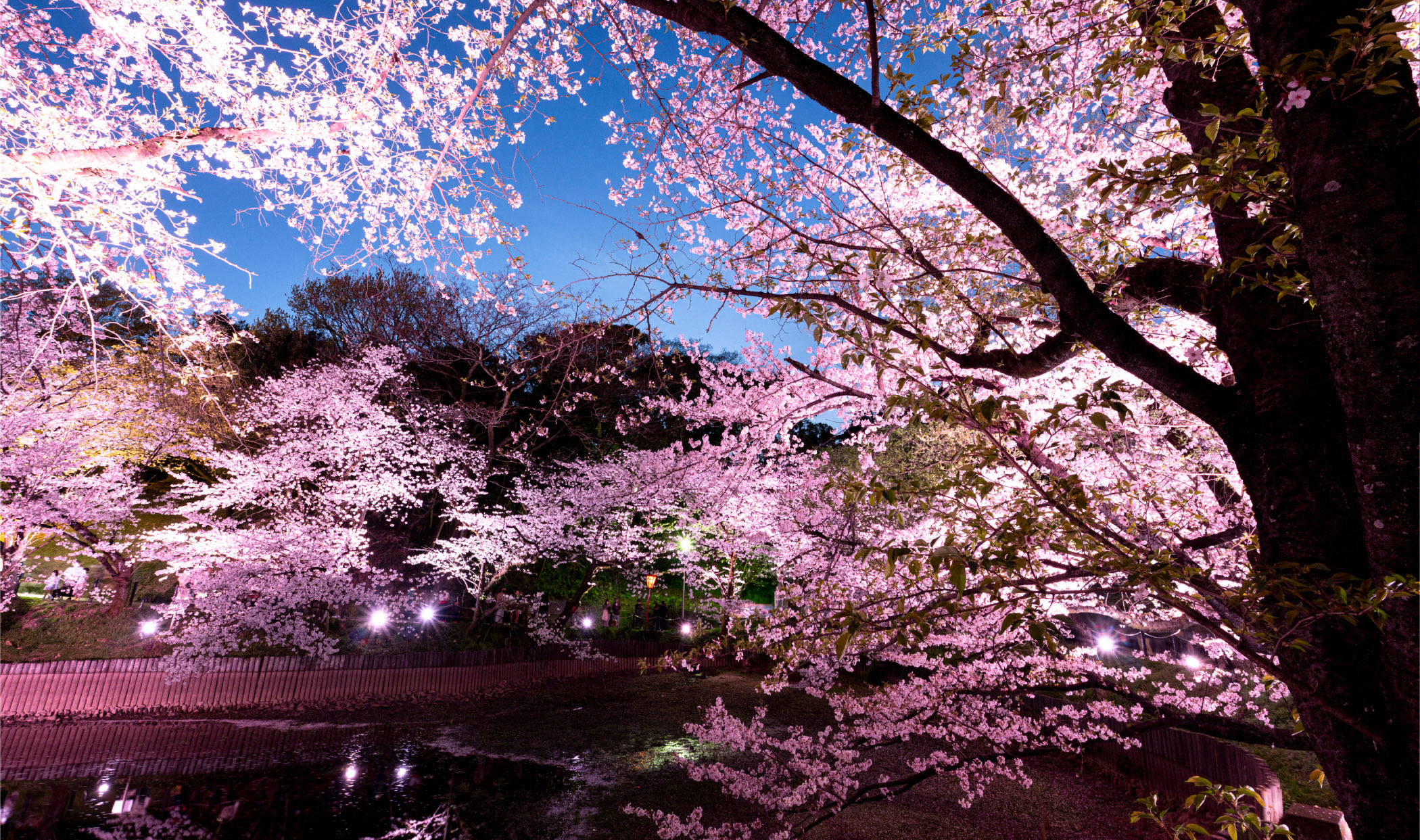 聚楽園公園徒歩11〜15分（約830〜1,140m）