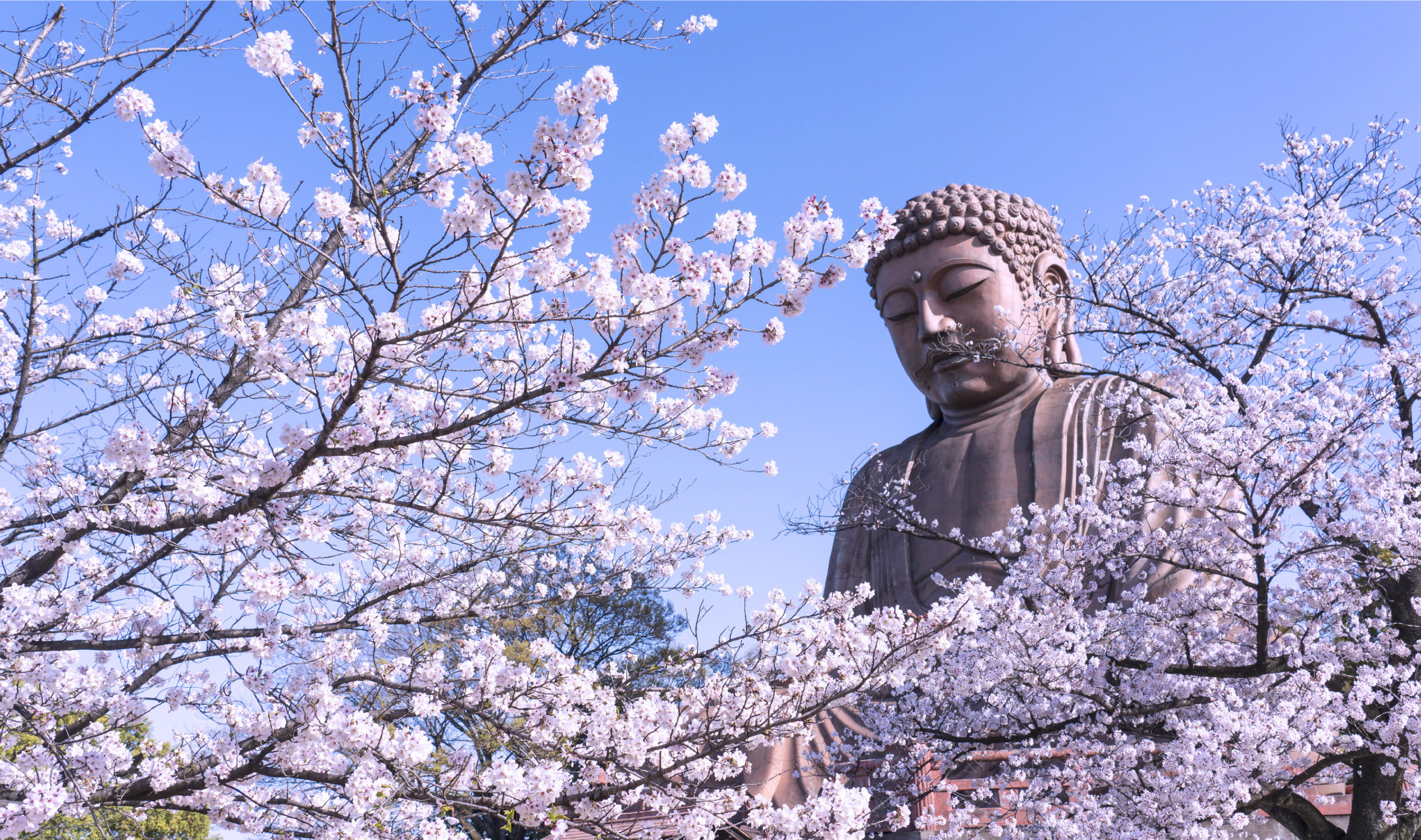 聚楽園公園徒歩11〜15分（約830〜1,140m）