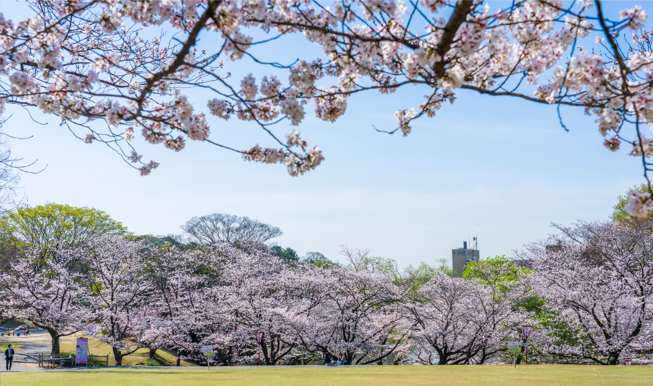 聚楽園公園徒歩11〜15分（約830〜1,140m）